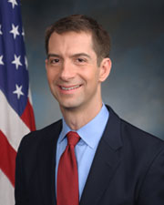 Tom Cotton portrait