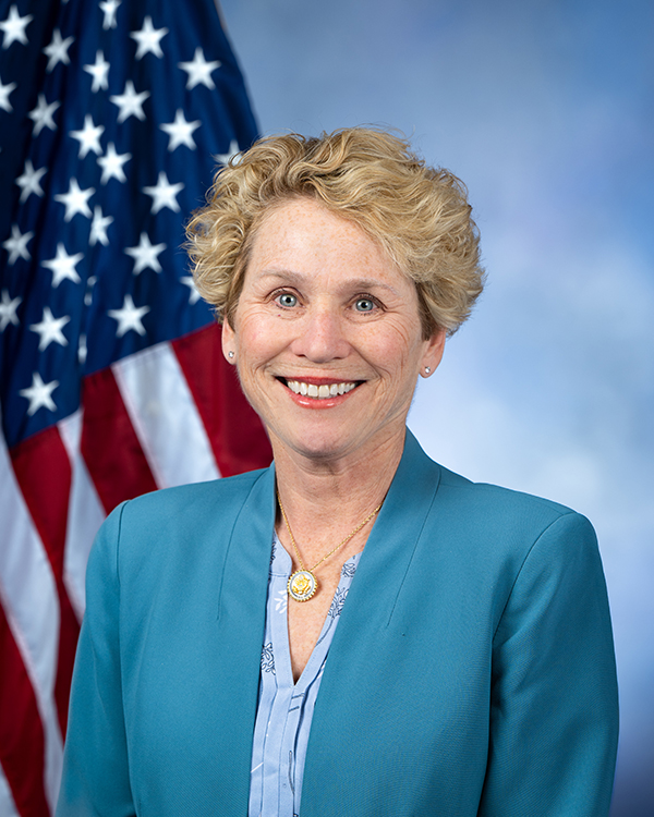 Chrissy Houlahan portrait