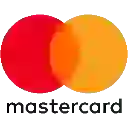 Mastercard Inc logo