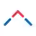 Serve Robotics Inc. Common Stock logo